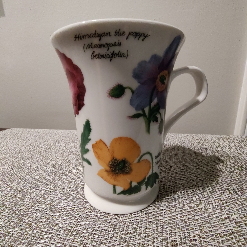 Ceramic Mug With Colorful Poppies